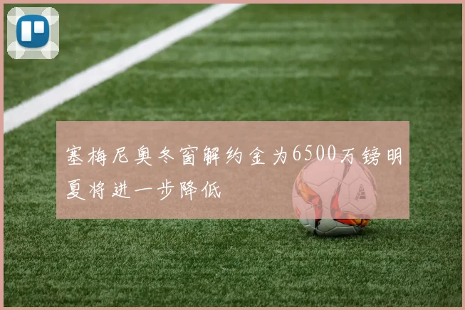塞梅尼奥冬窗解约金为6500万镑明夏将进一步降低
