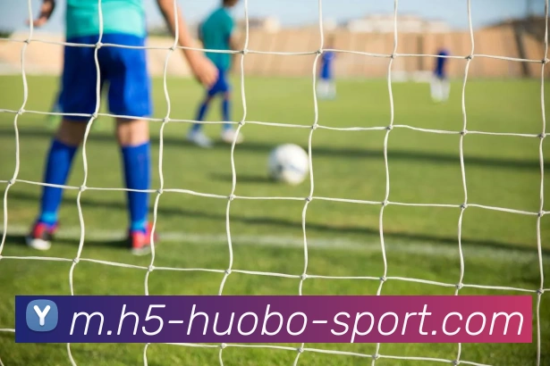 火博体育发展历程